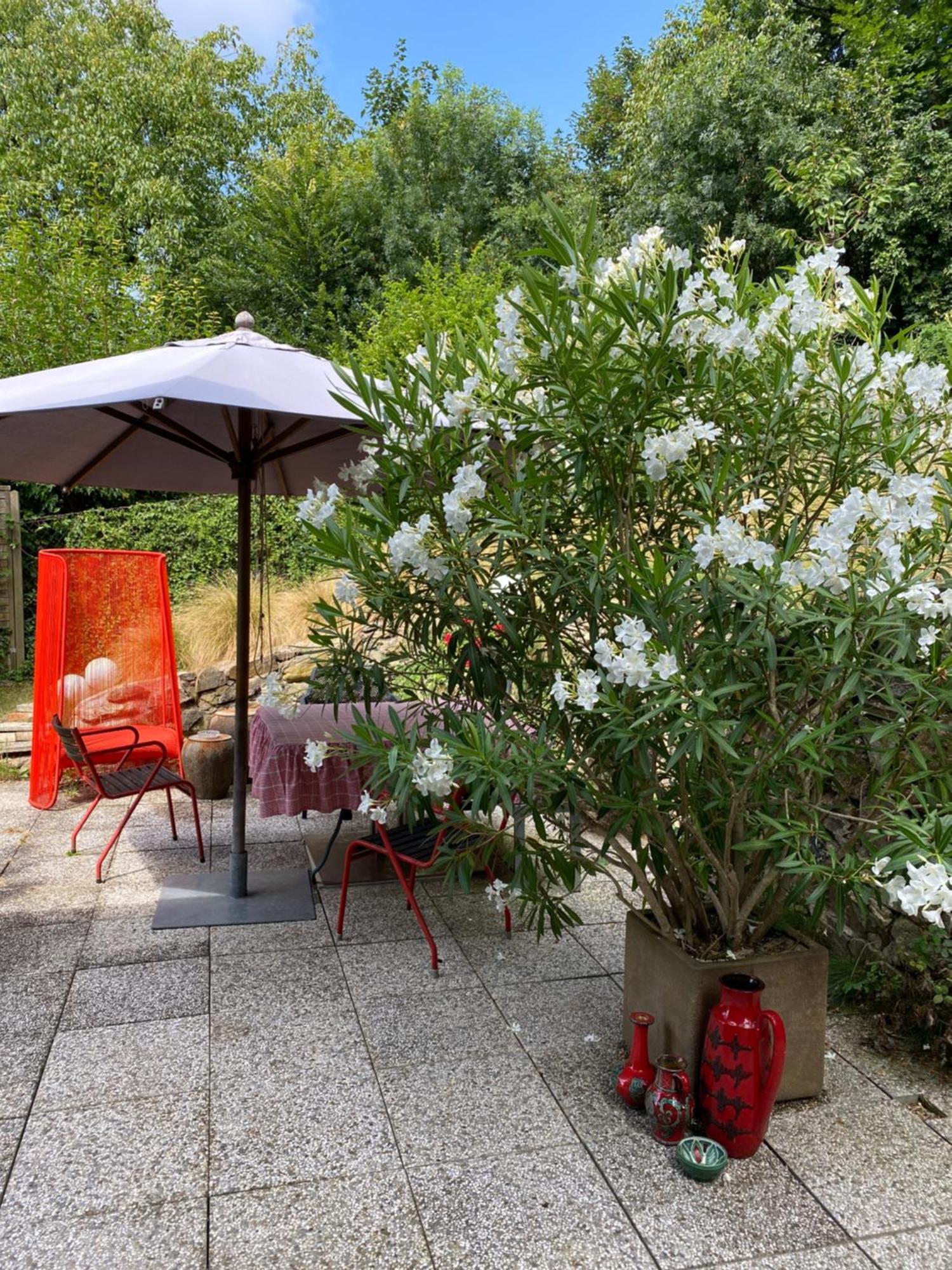 Jules&Jim Gaestehaus Linz Bagian luar foto